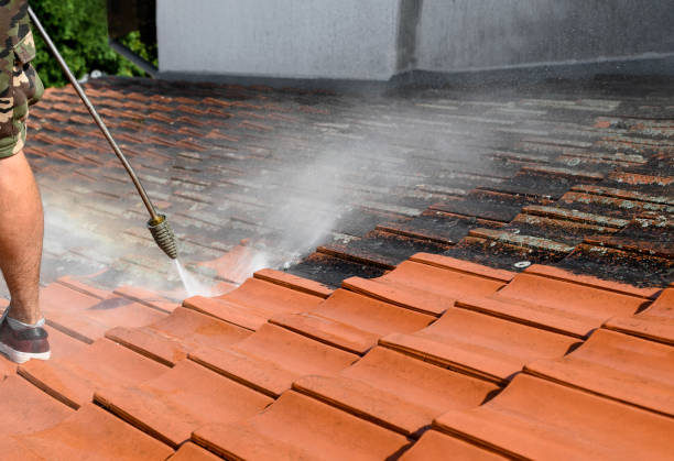 Roof Power Washing Services in Quincy, MI