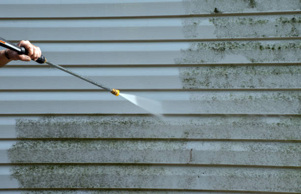 Best Affordable Power Washing  in Quincy, MI